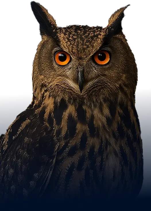 Speaks Law Firm Website Banner Image | Wilmington, NC 28401 | Call (910) 341-7570